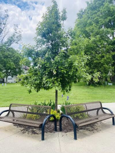 Knolls Park - West Des Moines, IA