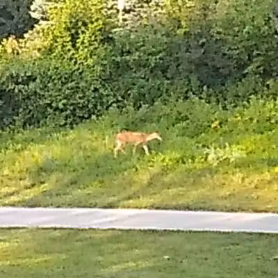 Pearson Park - West Des Moines, IA