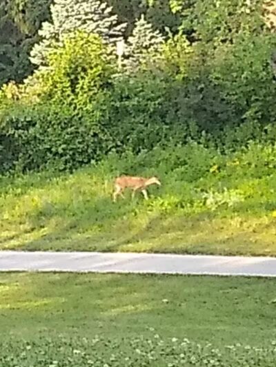 Pearson Park - West Des Moines, IA