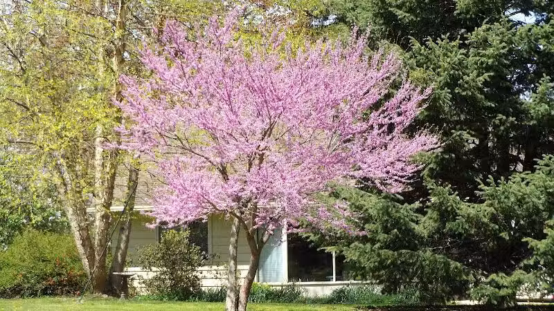 Pearson Park - West Des Moines, IA