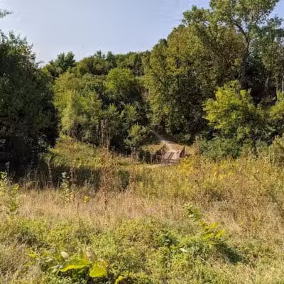 Quail Cove Park - West Des Moines, IA