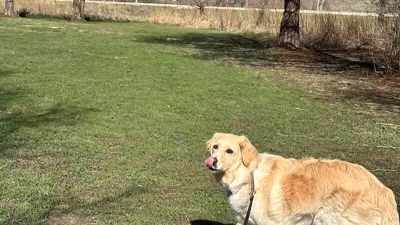 Raccoon River Kennels - West Des Moines, IA