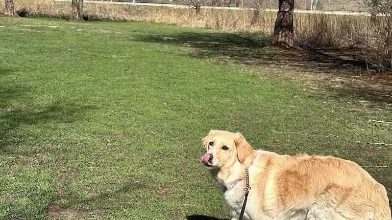 Raccoon River Kennels - West Des Moines, IA