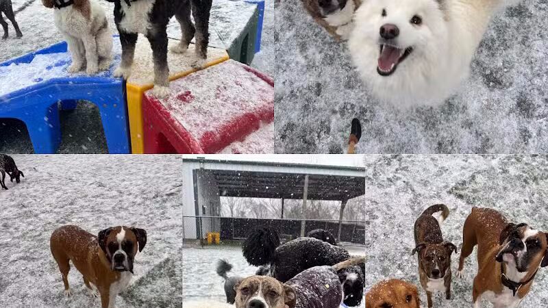 Raccoon River Kennels - West Des Moines, IA