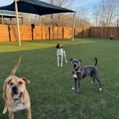 Raccoon River Kennels - West Des Moines, IA