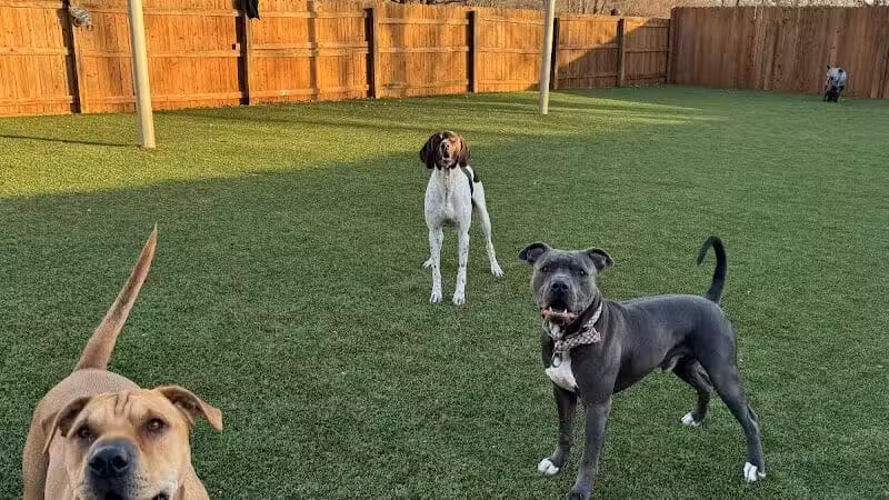 Raccoon River Kennels - West Des Moines, IA