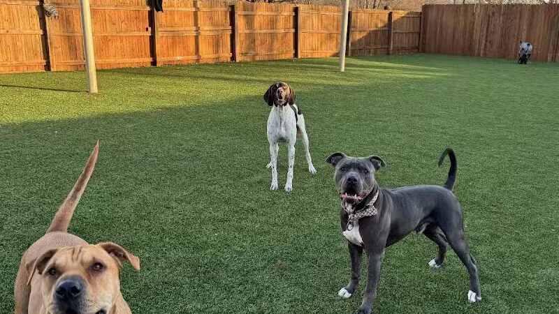 Raccoon River Kennels - West Des Moines, IA