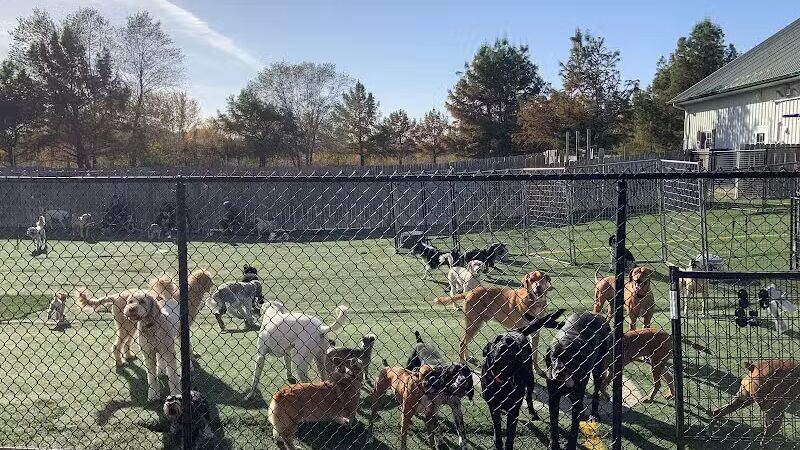 Raccoon River Kennels - West Des Moines, IA