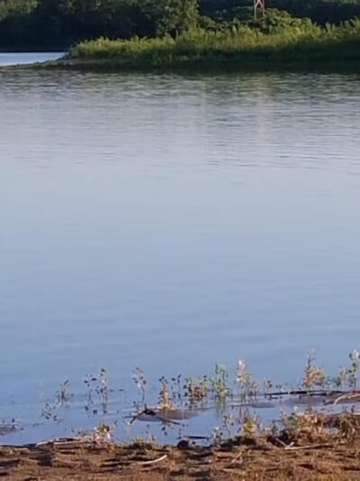 Raccoon River Park - West Des Moines, IA