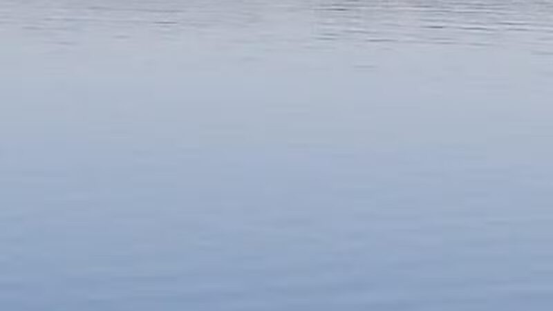 Raccoon River Park - West Des Moines, IA