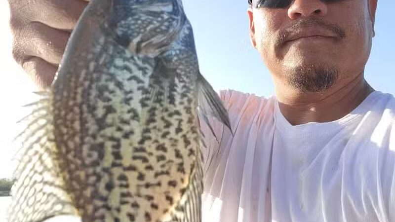 West Des Moines Nature Lodge - West Des Moines, IA