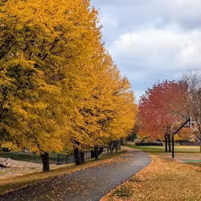 Willow Springs Park - West Des Moines, IA