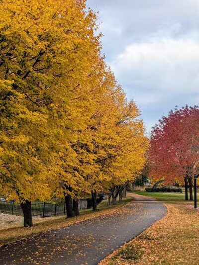 Willow Springs Park - West Des Moines, IA