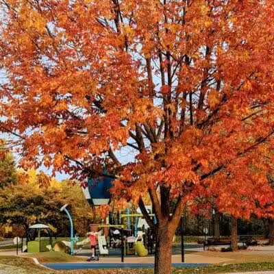 Willow Springs Park - West Des Moines, IA