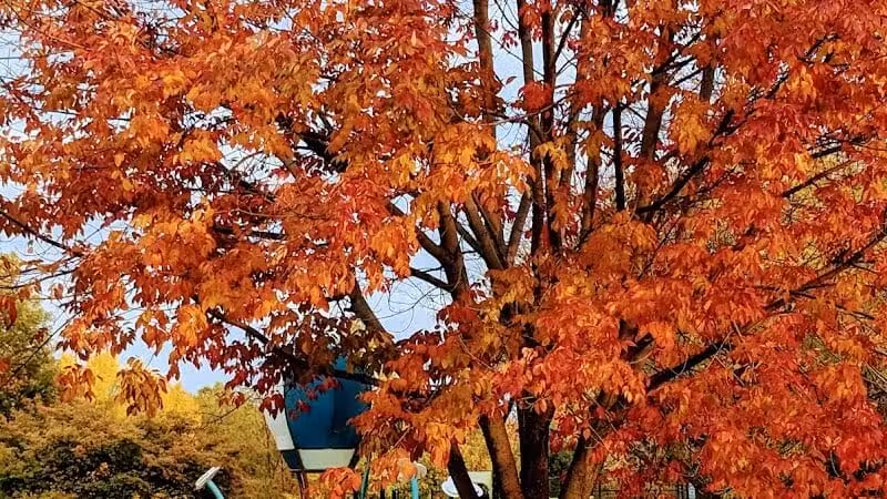 Willow Springs Park - West Des Moines, IA