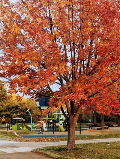 Willow Springs Park - West Des Moines, IA