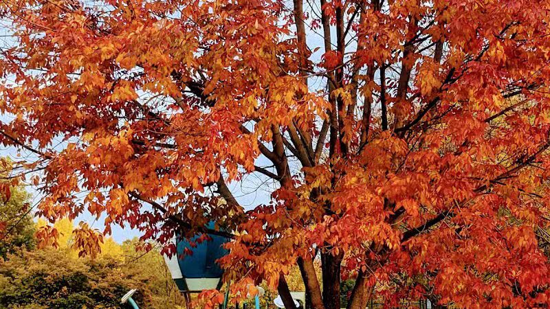 Willow Springs Park - West Des Moines, IA