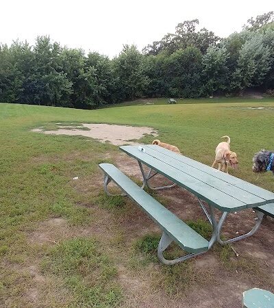 Schweitzer Woods Forest Preserve - West Dundee, IL