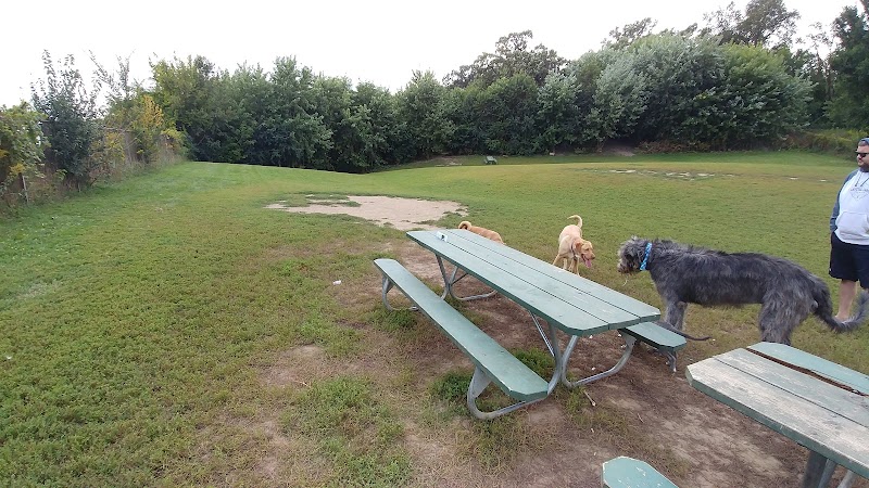 Schweitzer Woods Forest Preserve - West Dundee, IL