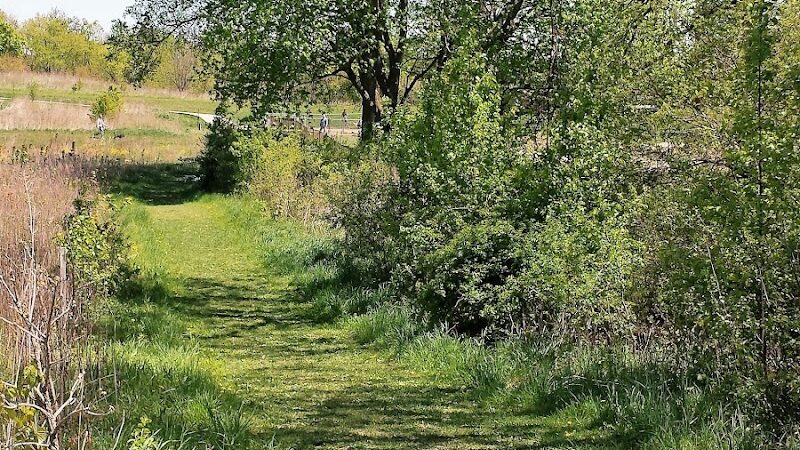 Schweitzer Woods Forest Preserve - West Dundee, IL