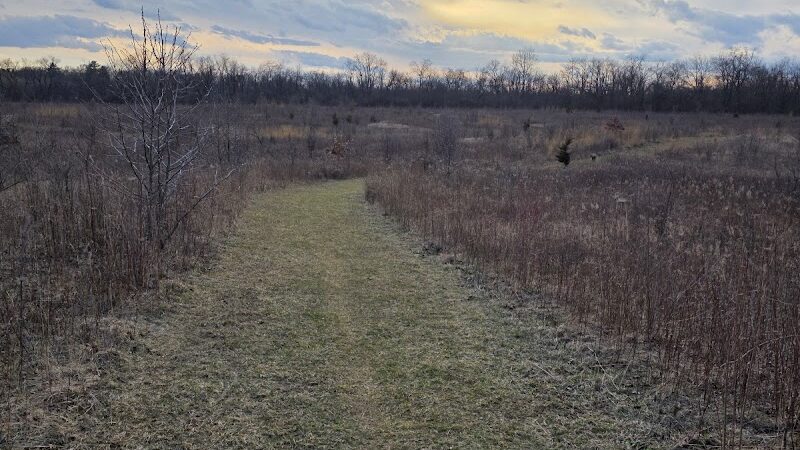 Schweitzer Woods Forest Preserve - West Dundee, IL