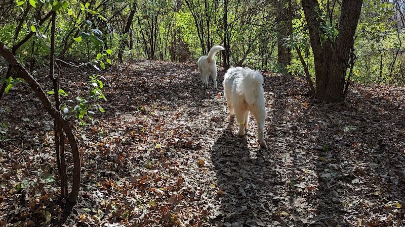 Schweitzer Woods Forest Preserve - West Dundee, IL