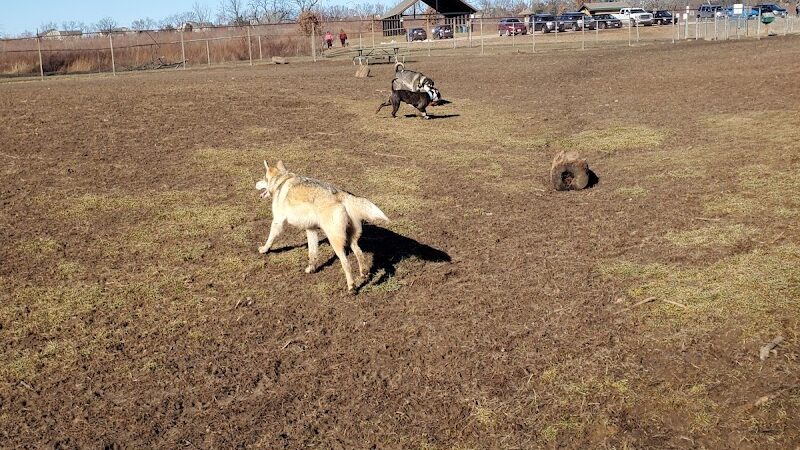 Schweitzer Woods Forest Preserve - West Dundee, IL