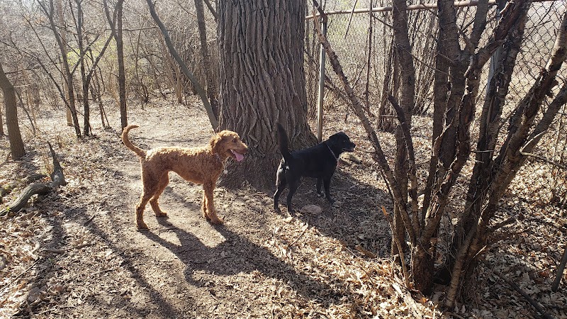 Schweitzer Woods Forest Preserve - West Dundee, IL