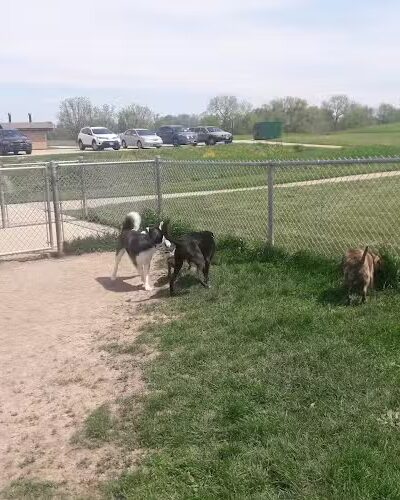 Schweitzer Woods Forest Preserve - West Dundee, IL