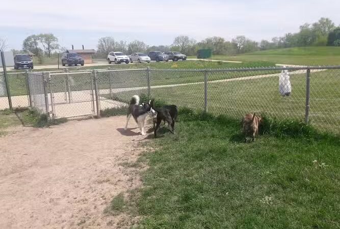 Schweitzer Woods Forest Preserve - West Dundee, IL