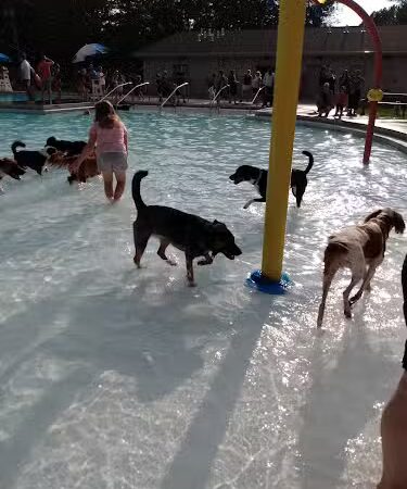 Beachland Park - West Hartford, CT