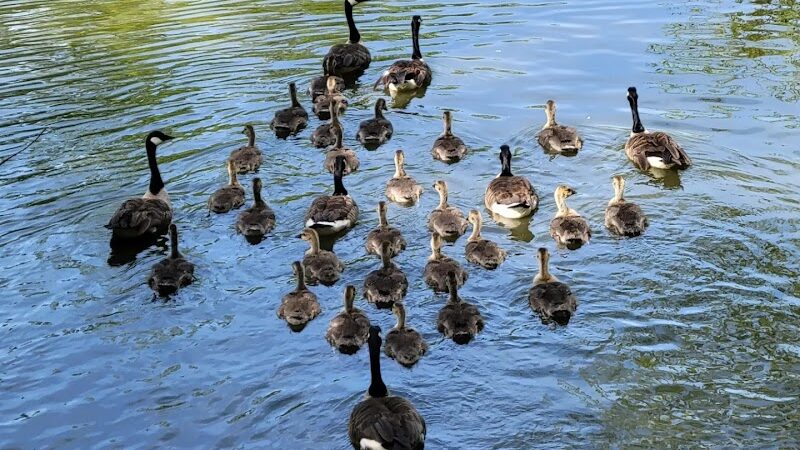 Elizabeth Park - West Hartford, CT