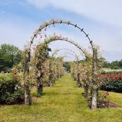 Elizabeth Park - West Hartford, CT
