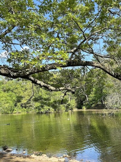 Elizabeth Park - West Hartford, CT
