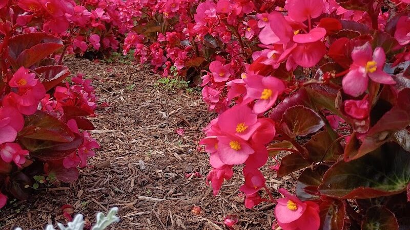 Elizabeth Park - West Hartford, CT