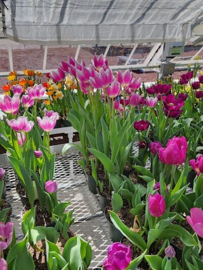 Elizabeth Park Conservancy - West Hartford, CT