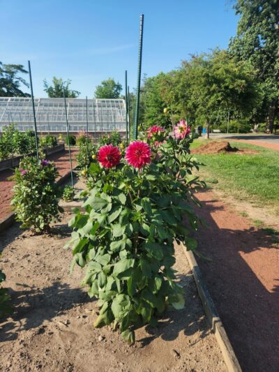 Elizabeth Park Conservancy - West Hartford, CT