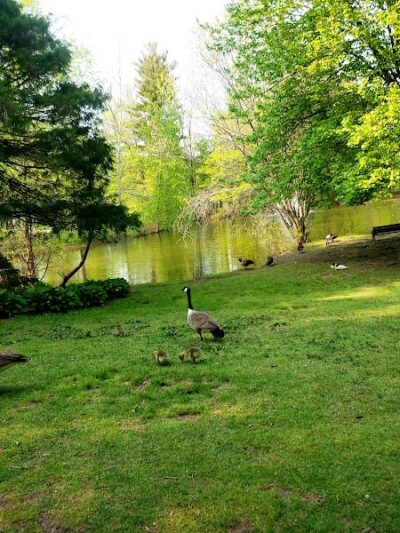 Elizabeth Park Conservancy - West Hartford, CT