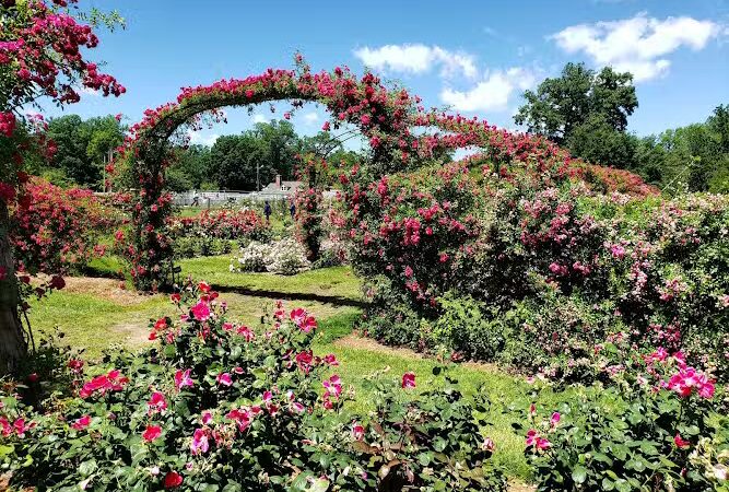 Elizabeth Park Conservancy - West Hartford, CT