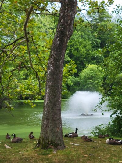Elizabeth Park Walbridge Street / John A. Keane Memorial Arch Entrance - West Hartford, CT