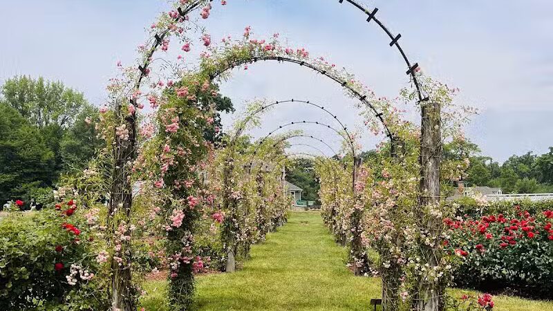 Elizabeth Park - West Hartford, CT