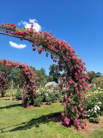 Friends of Elizabeth Park - West Hartford, CT