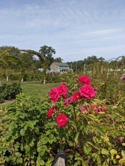 Friends of Elizabeth Park - West Hartford, CT