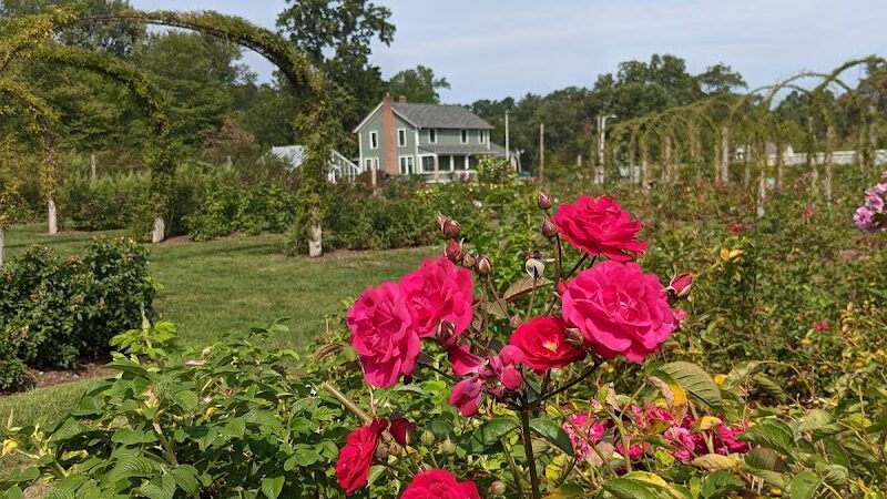 Friends of Elizabeth Park - West Hartford, CT