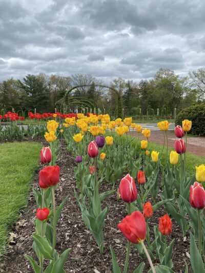 Friends of Elizabeth Park - West Hartford, CT