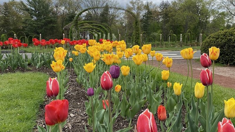 Friends of Elizabeth Park - West Hartford, CT