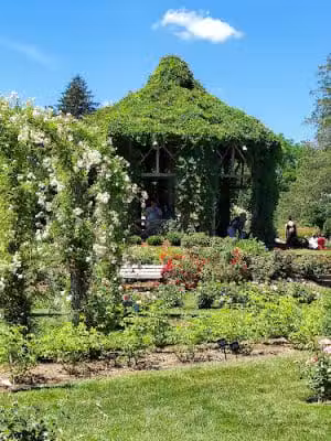 Friends of Elizabeth Park - West Hartford, CT