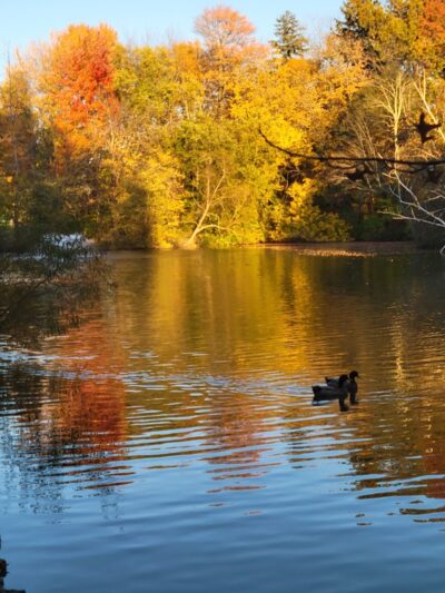 Friends of Elizabeth Park - West Hartford, CT