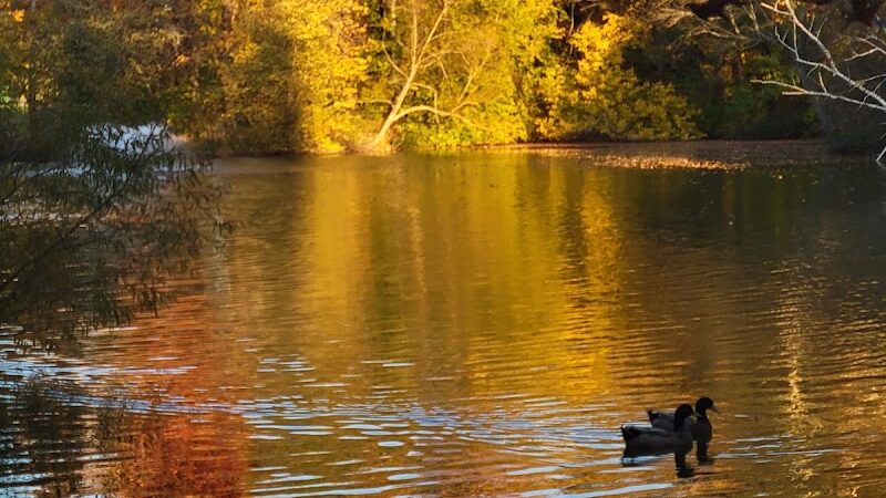 Friends of Elizabeth Park - West Hartford, CT