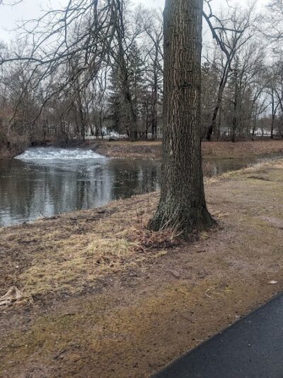 Trout Brook Trail - West Hartford, CT